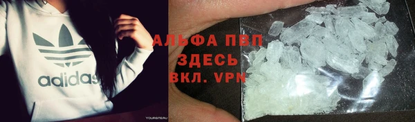 прущие крисы Новозыбков